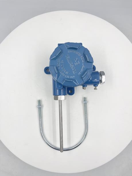 防爆挂壁式温度变送器.jpg