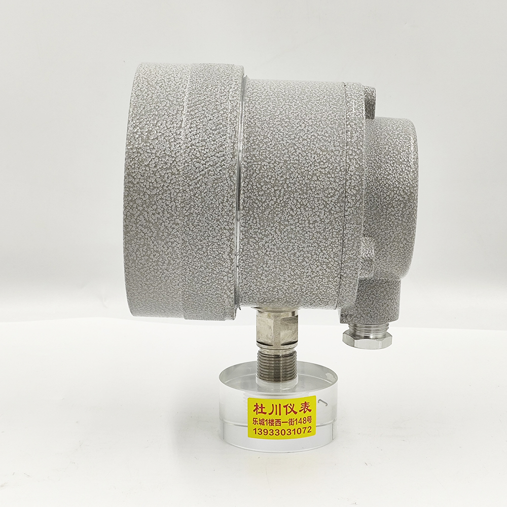 中表YTX-100B，-0.1-1.5MPa（2）.jpg