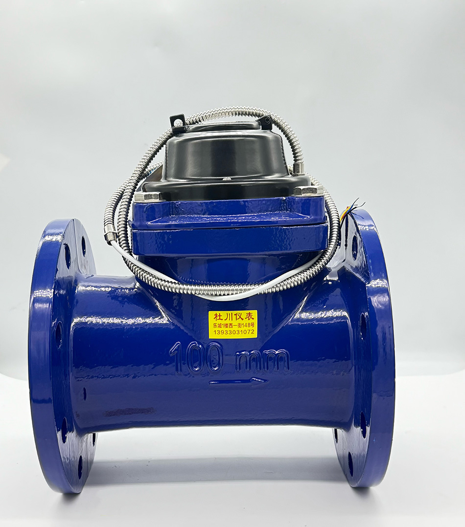 沁泉光电直读表 DN100.jpg