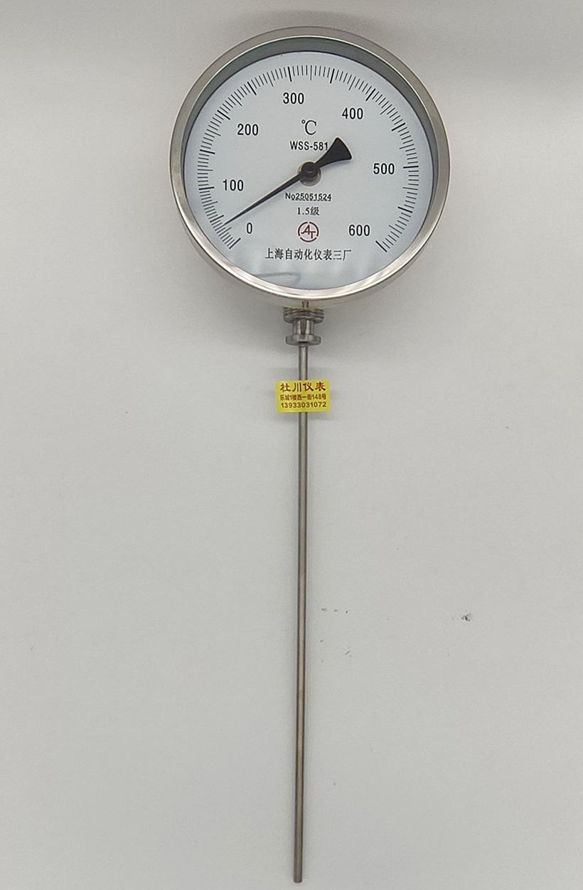 上海自动化581，0-600℃，350mm.jpg
