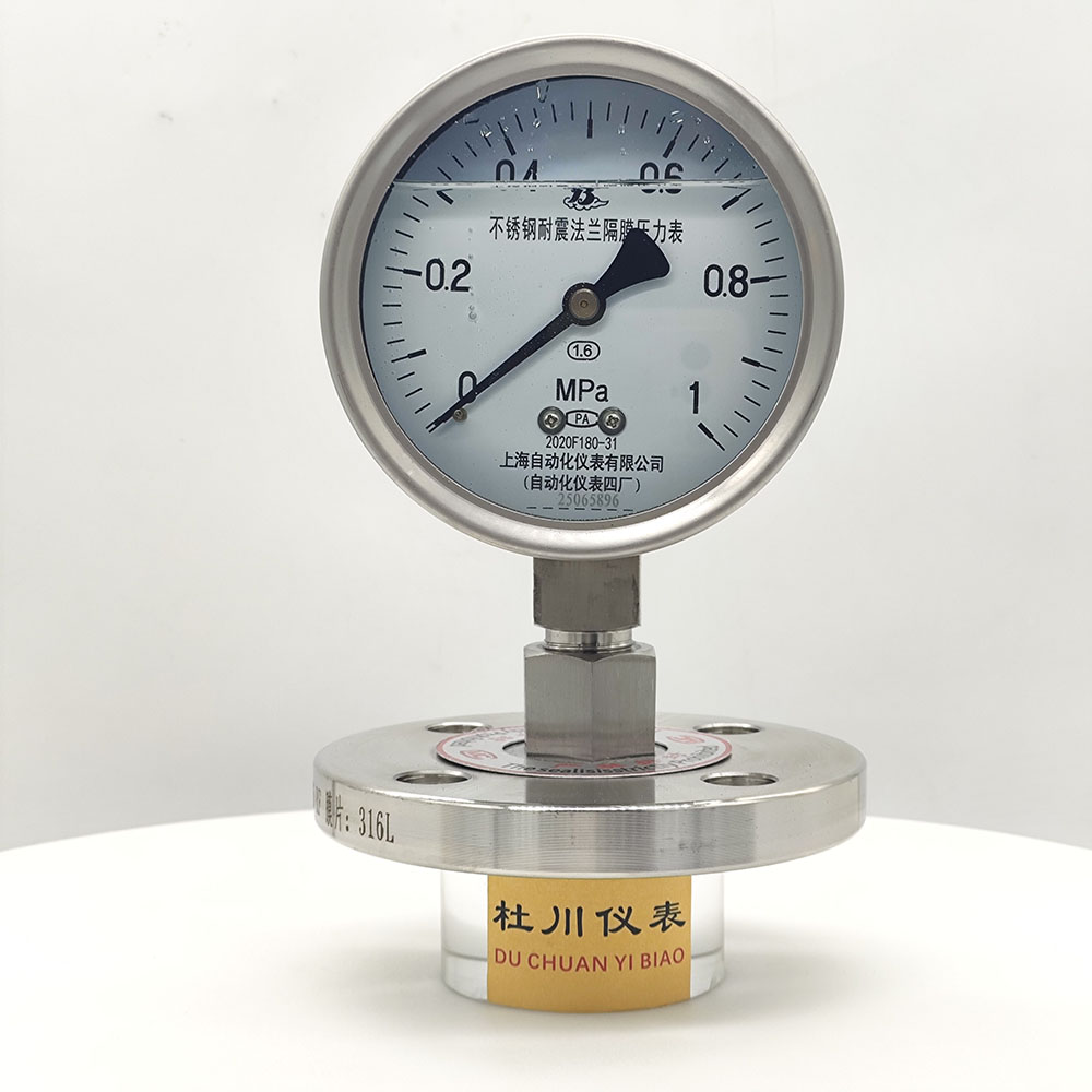 上海自动化YNTP100BF，DN25法兰，1mpa.jpg