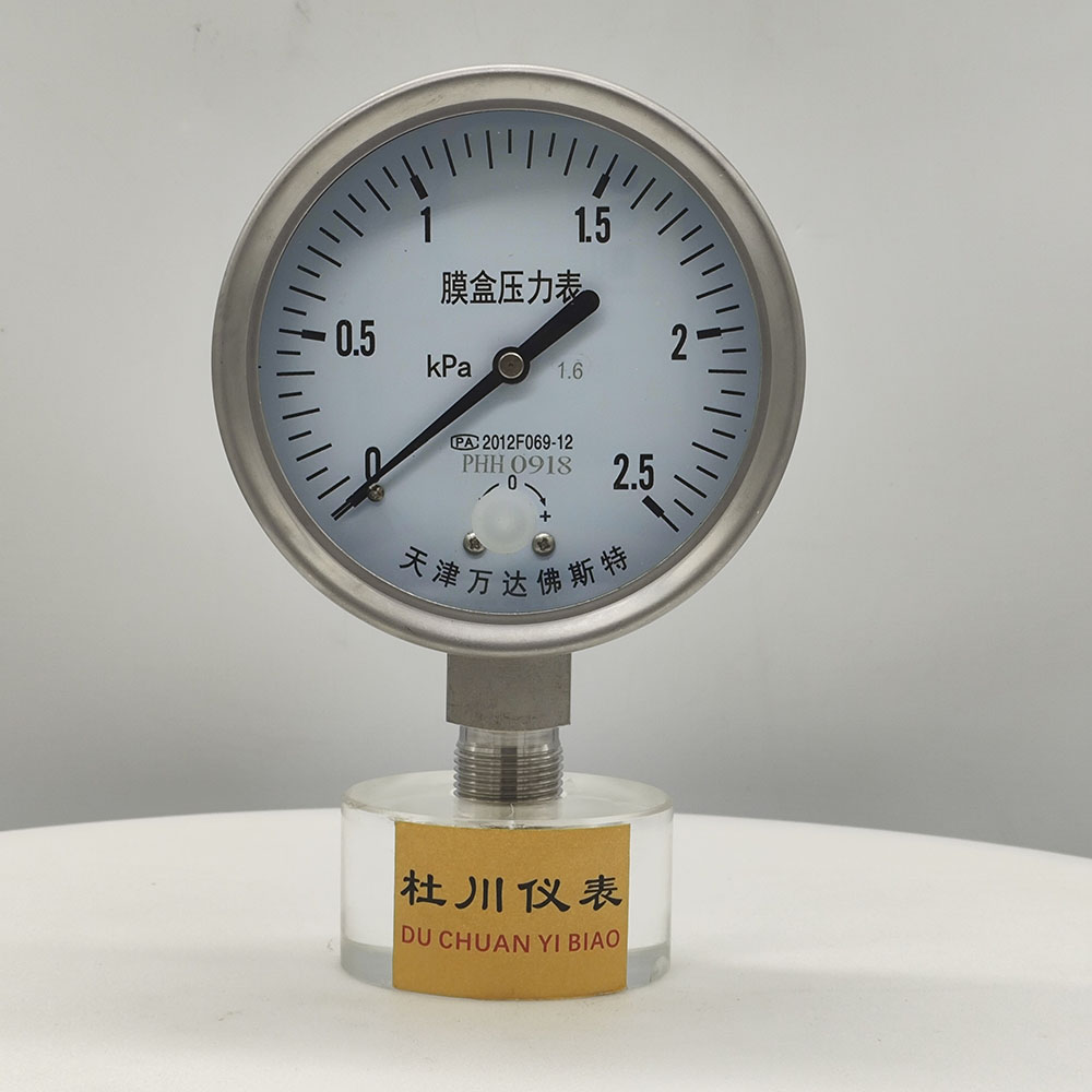 天津万达佛斯特YE100BF  ，1.6级，2.5kpa.jpg